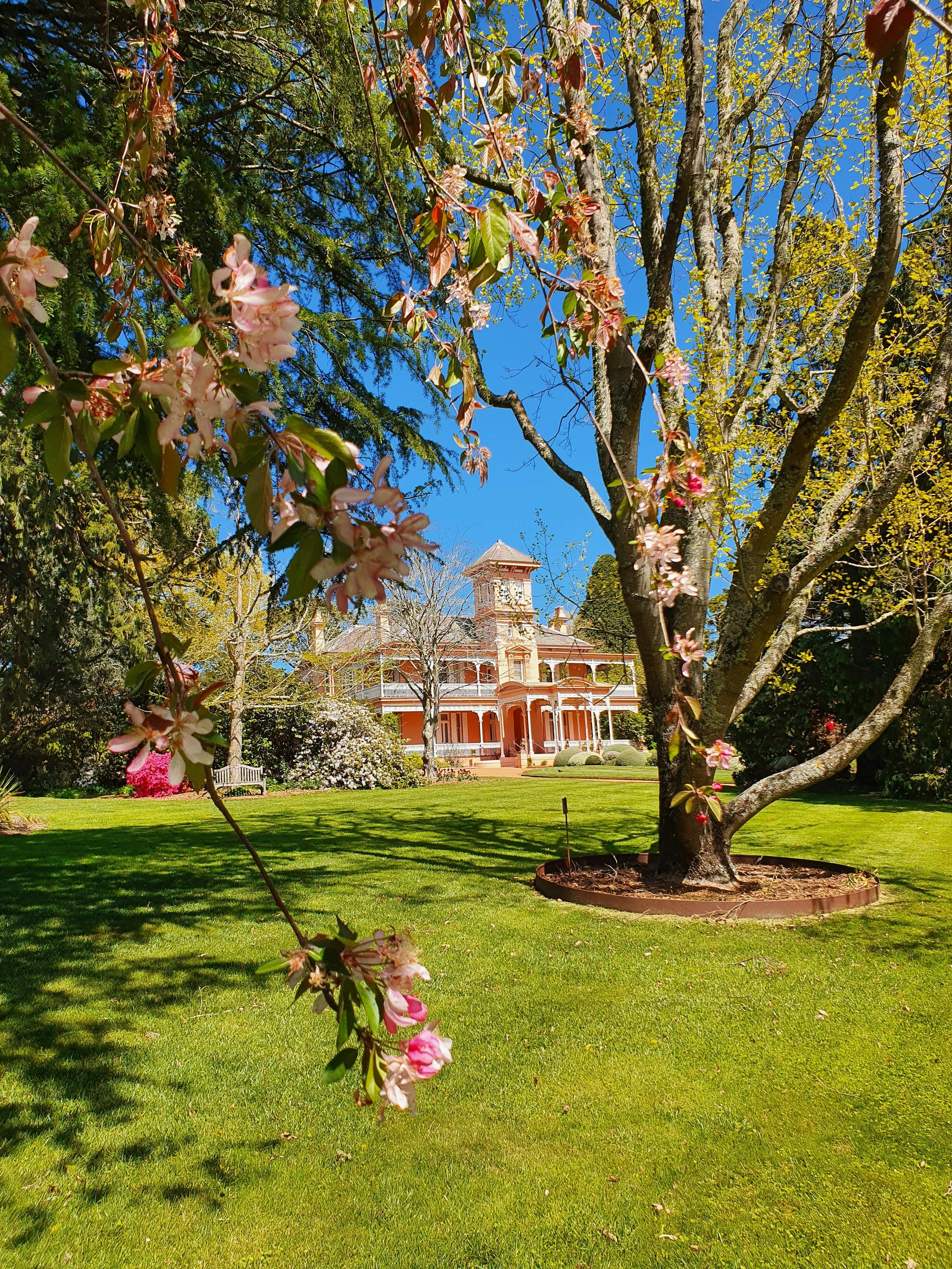 Retford Park in Spring