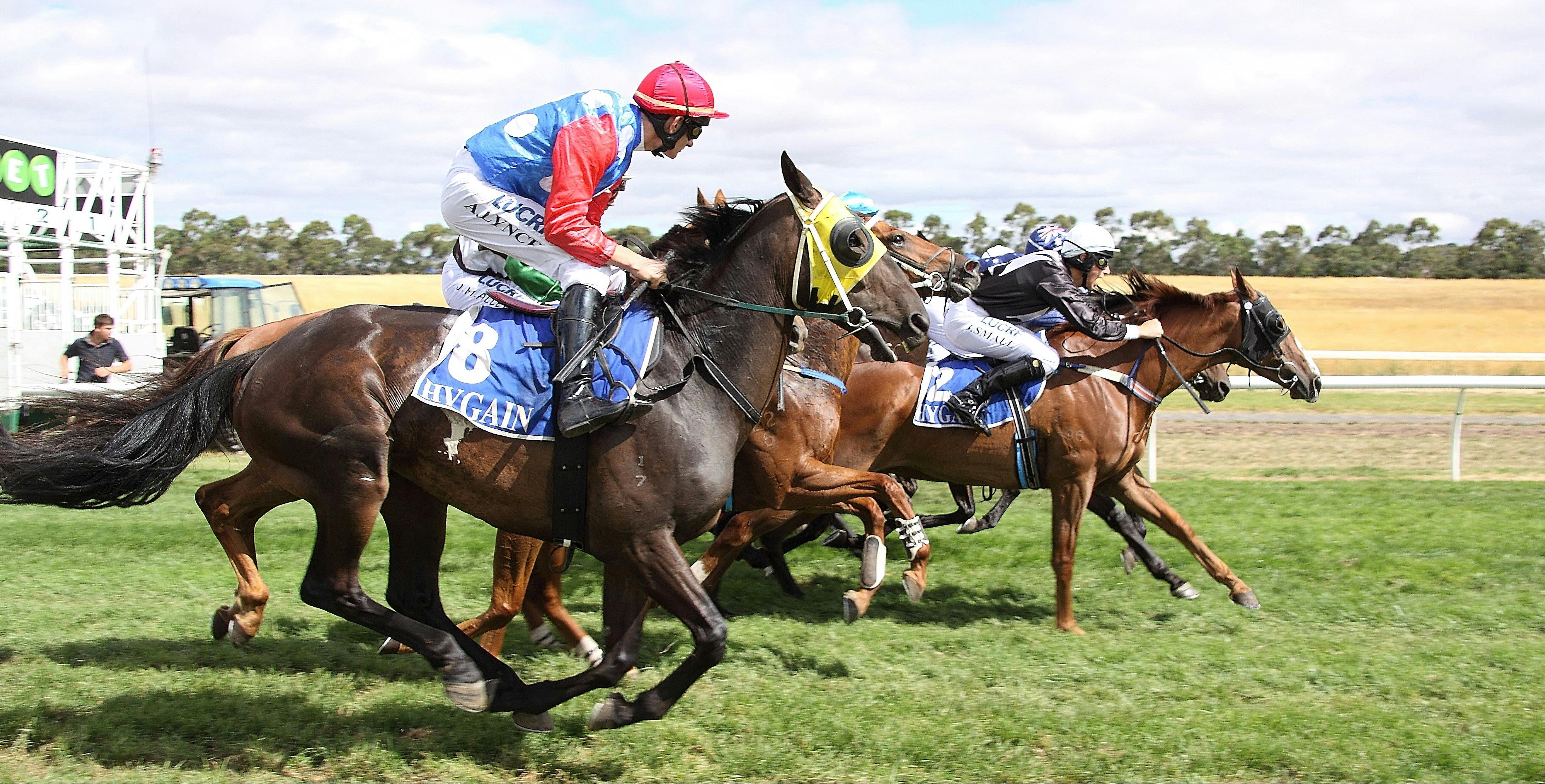 Hamilton Cup