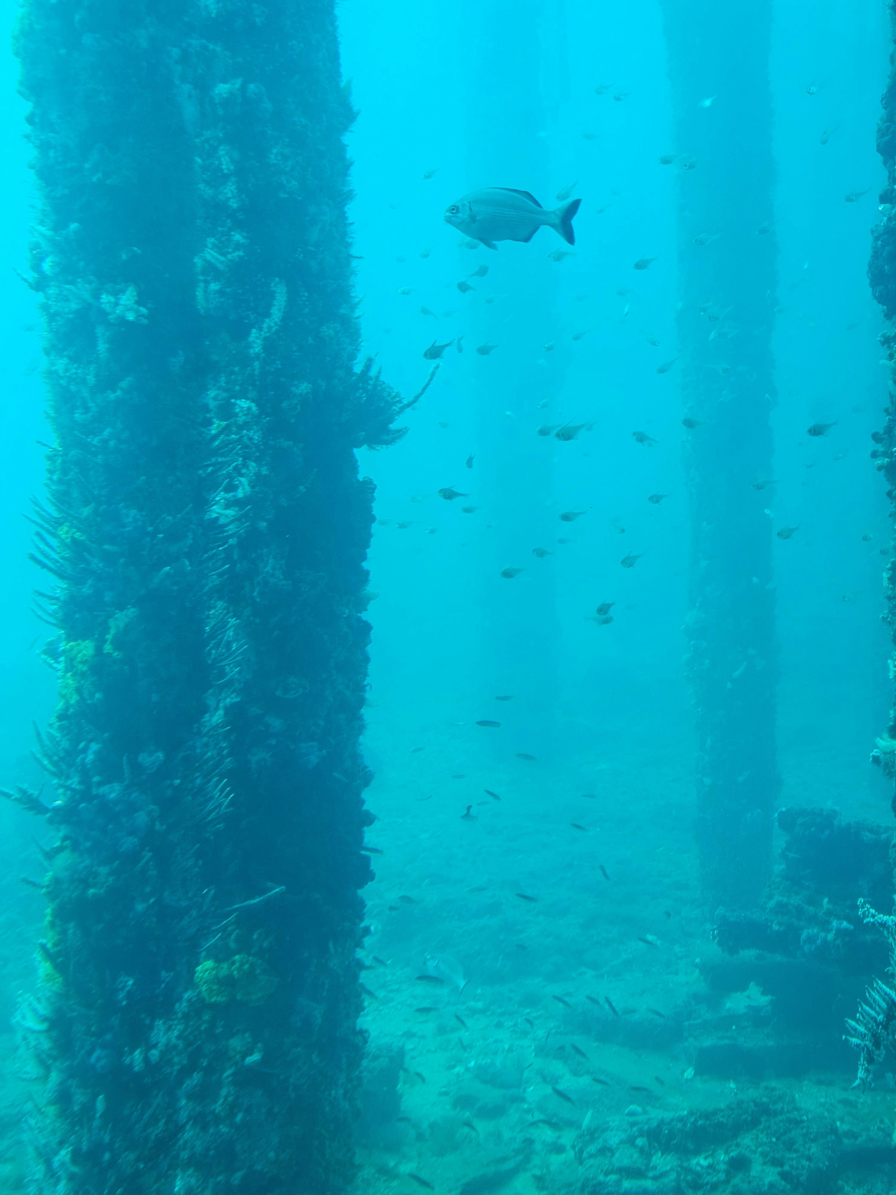 Busselton Jetty and Underwater Observatory