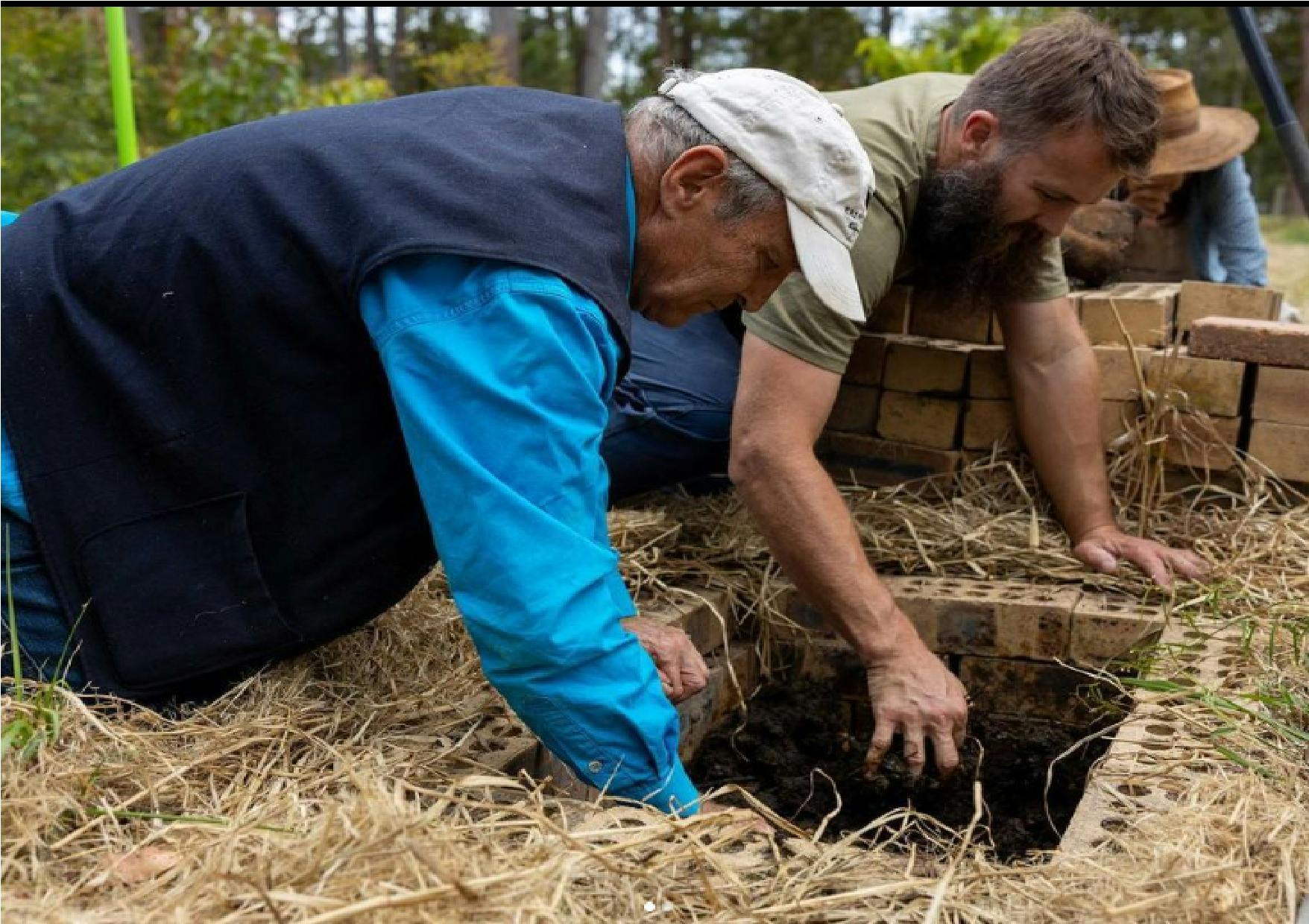 Syntropic Agroforestry with Syntropic Solutions