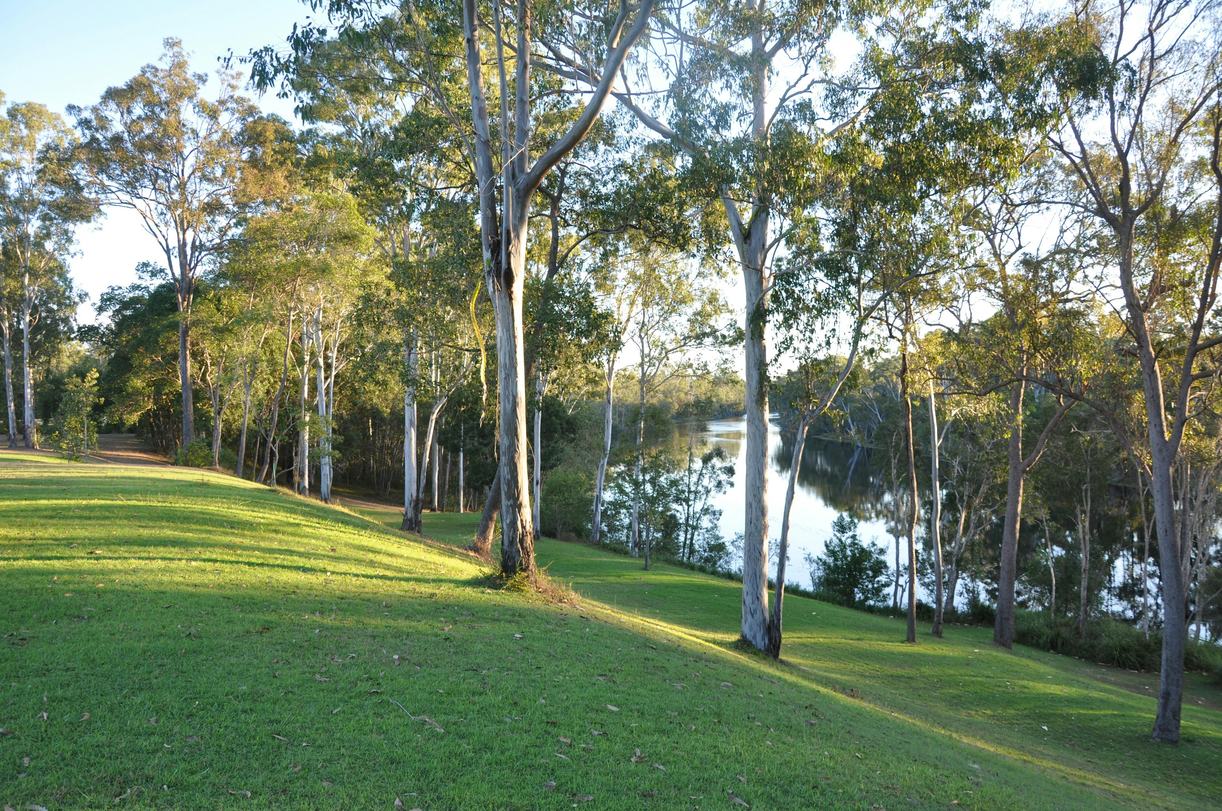 The gardens alongside the Burrum River