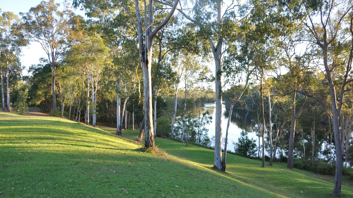 The gardens alongside the Burrum River