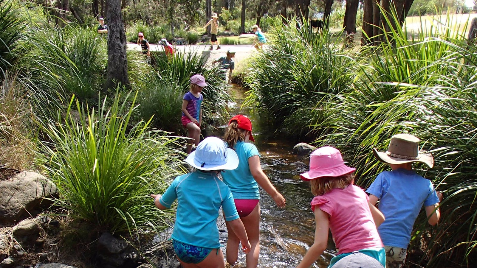 Mt Barney Lodge Country Retreat