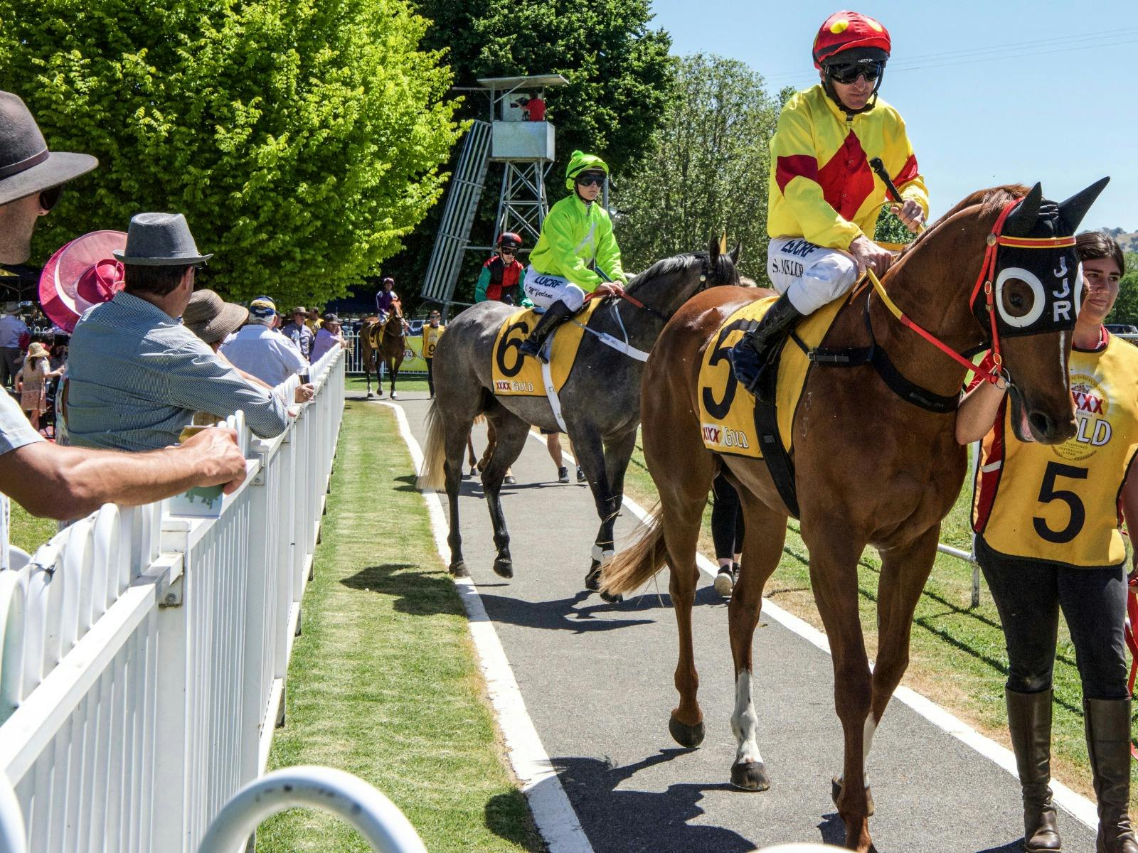 Year chinese lunar sydney feasting dumplings roll sky let sbs food au Gundagai's New Year's Day Races | NSW Holidays & Accommodation, Things