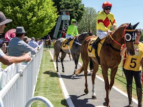 Gundagai's New Year's Day Races Cover Image