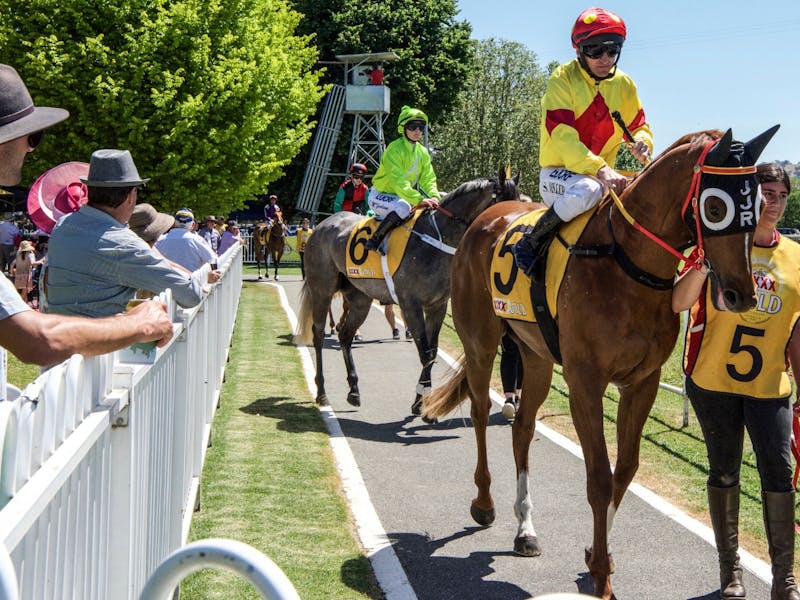 Image for Gundagai's New Year's Day Races