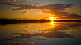 Orange sun setting over water with reflection.