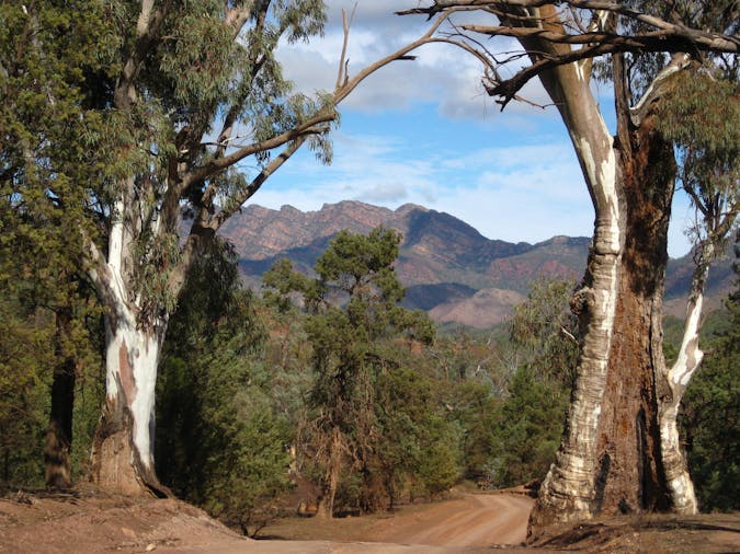 Flinders Ranges and Outback Eight Day Tour