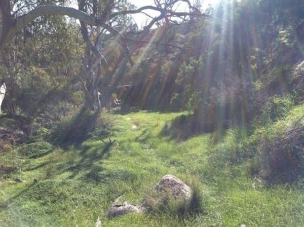 Waukarie Creek