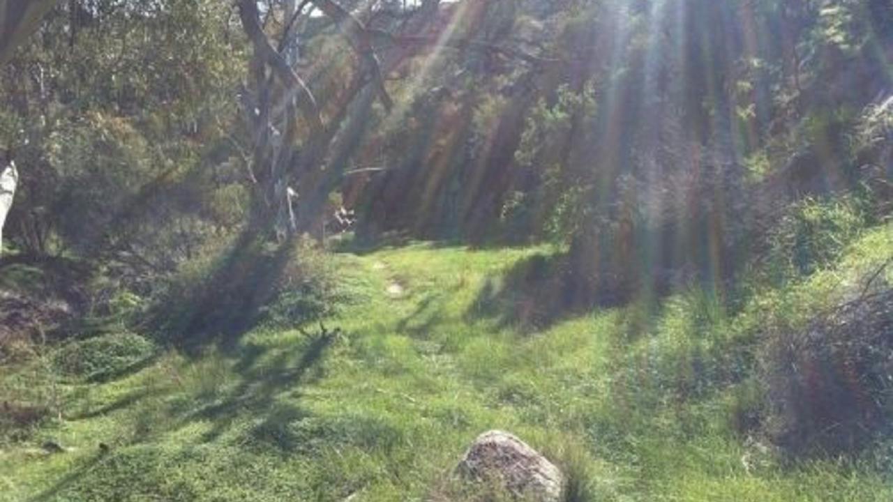 Waukarie Creek