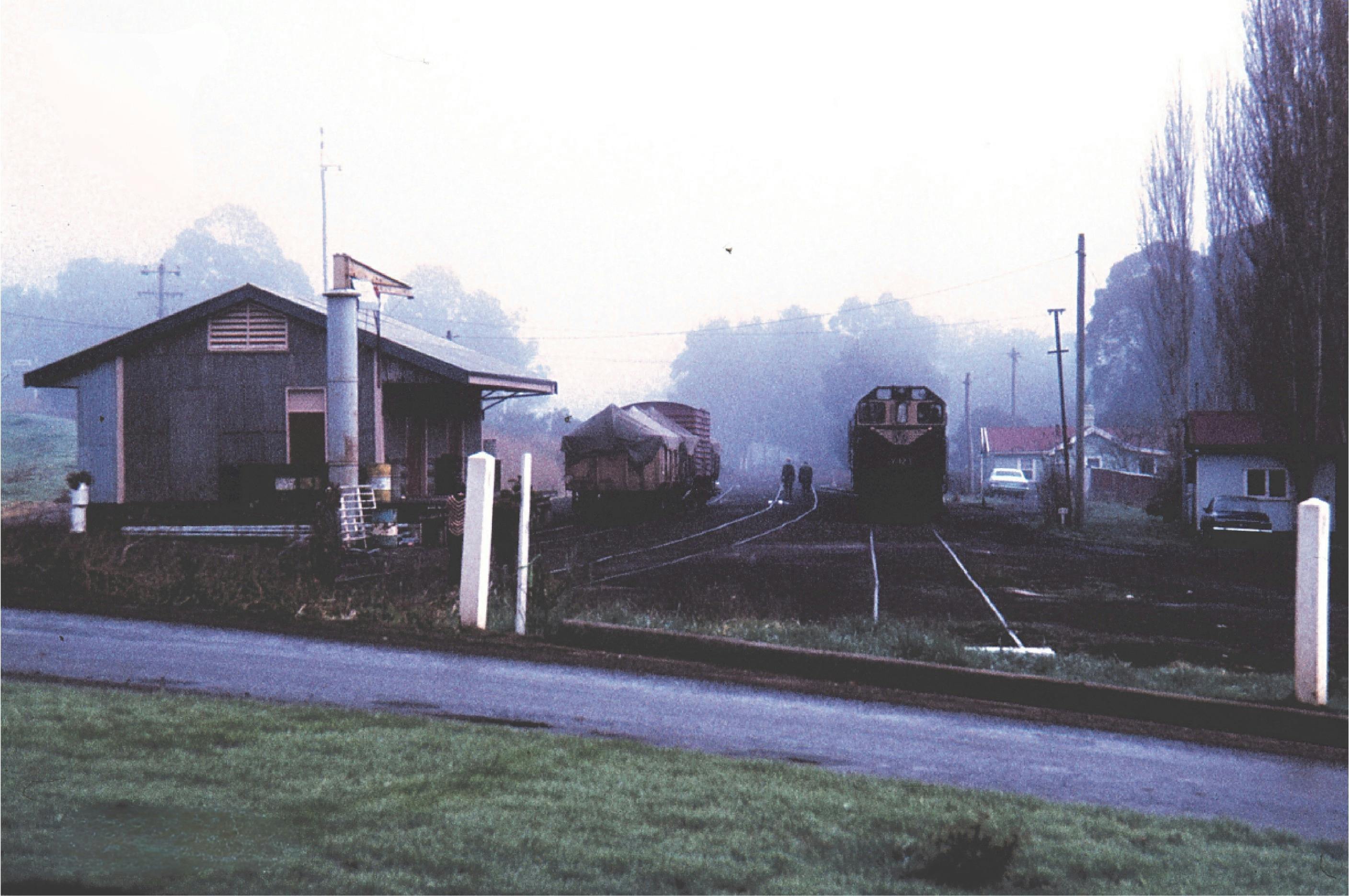Historical image of the Timboon railway yard