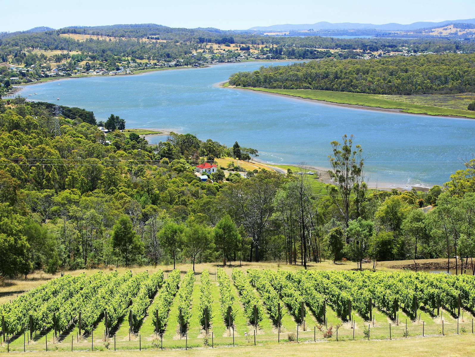 The Tamar River from Bradys Lookout