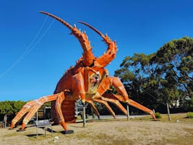 The famous Big Lobster, a giant roadside sculpture especially well-known in South Australia