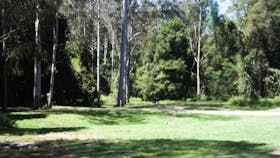 Chichester State Forest