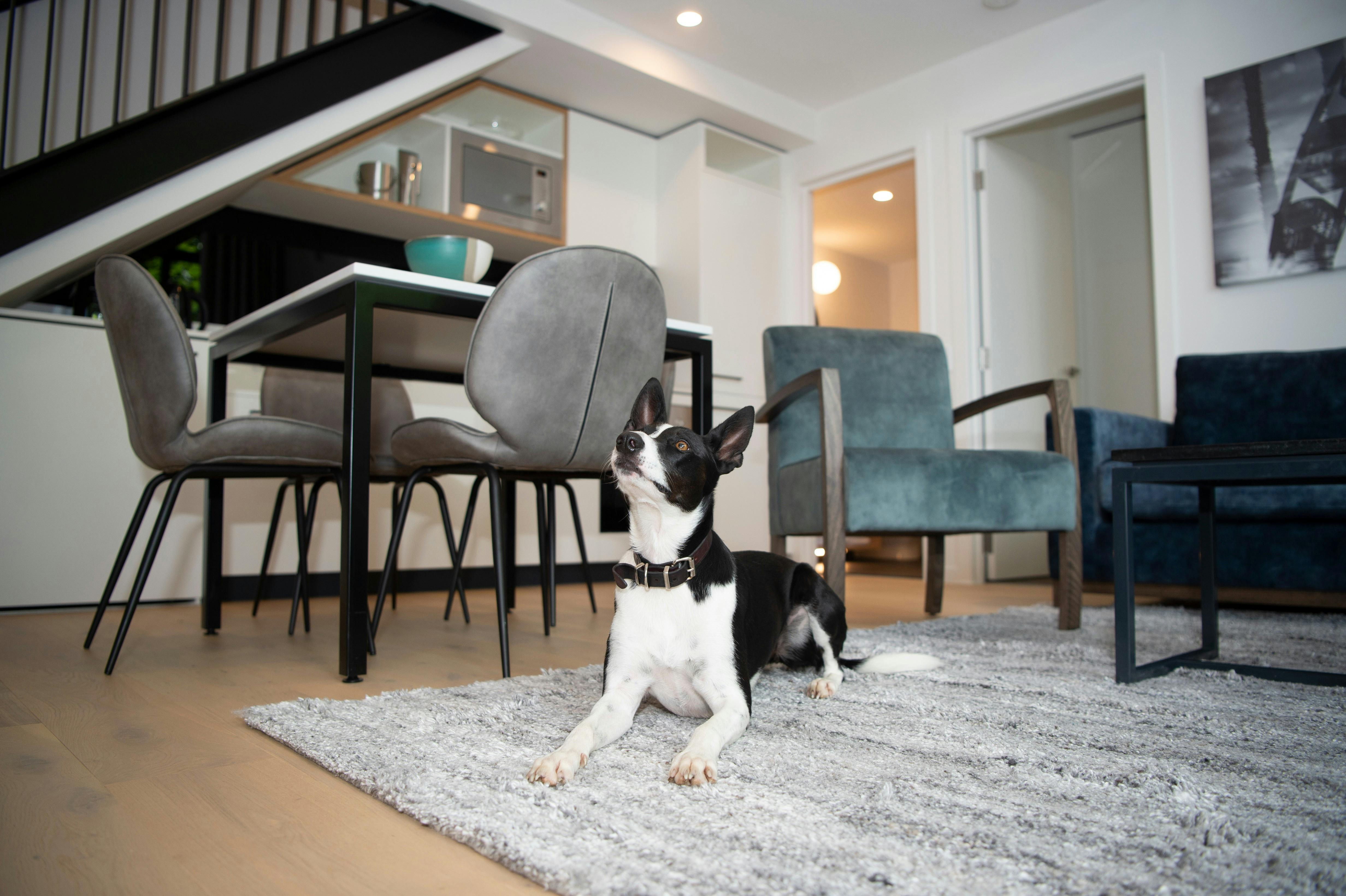 Two Bedroom Bellerine Street Loft Apartment