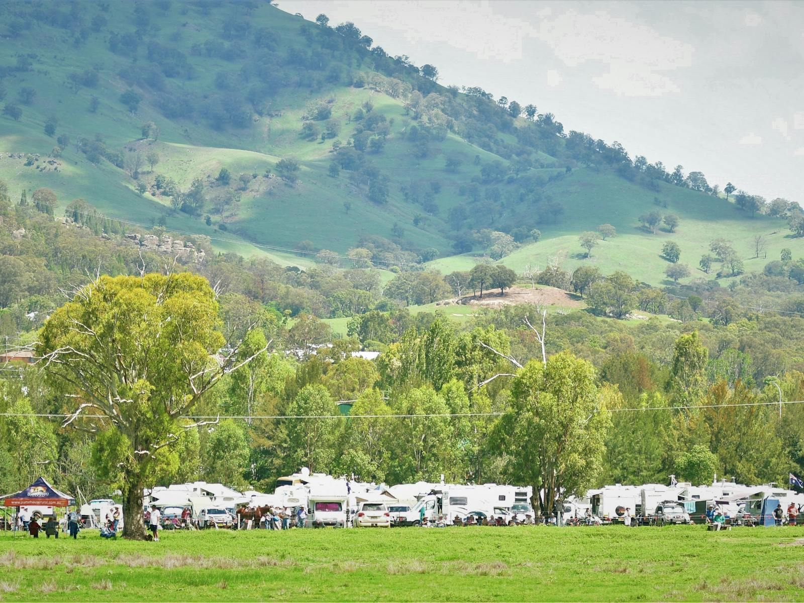 Image for King of the Ranges Stockman's Challenge and Bush Festival