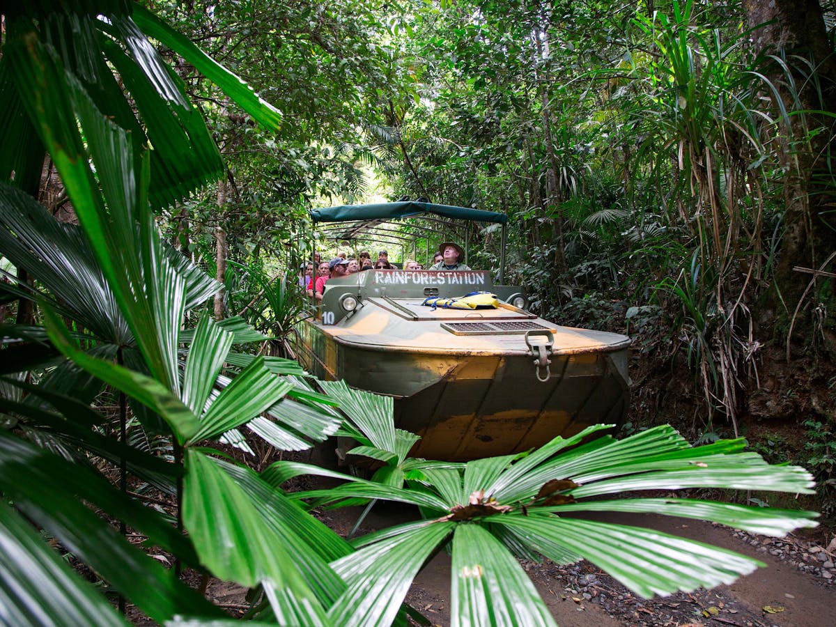 rainforestation nature park rainforest army duck tour on a WW2 army duck