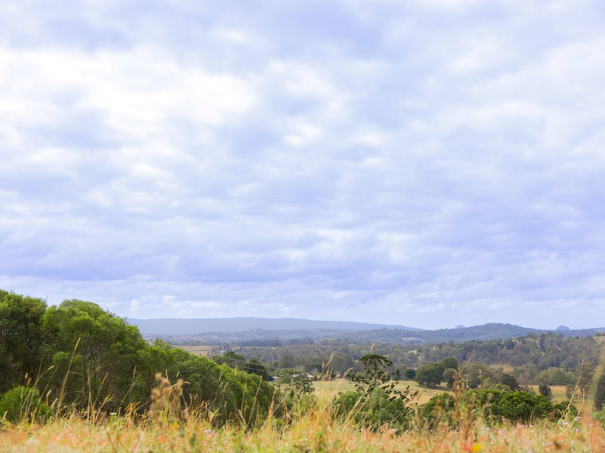 View from the lookout