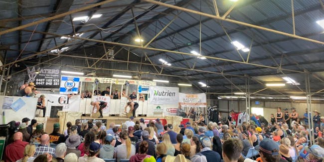 Coota Show Shearing