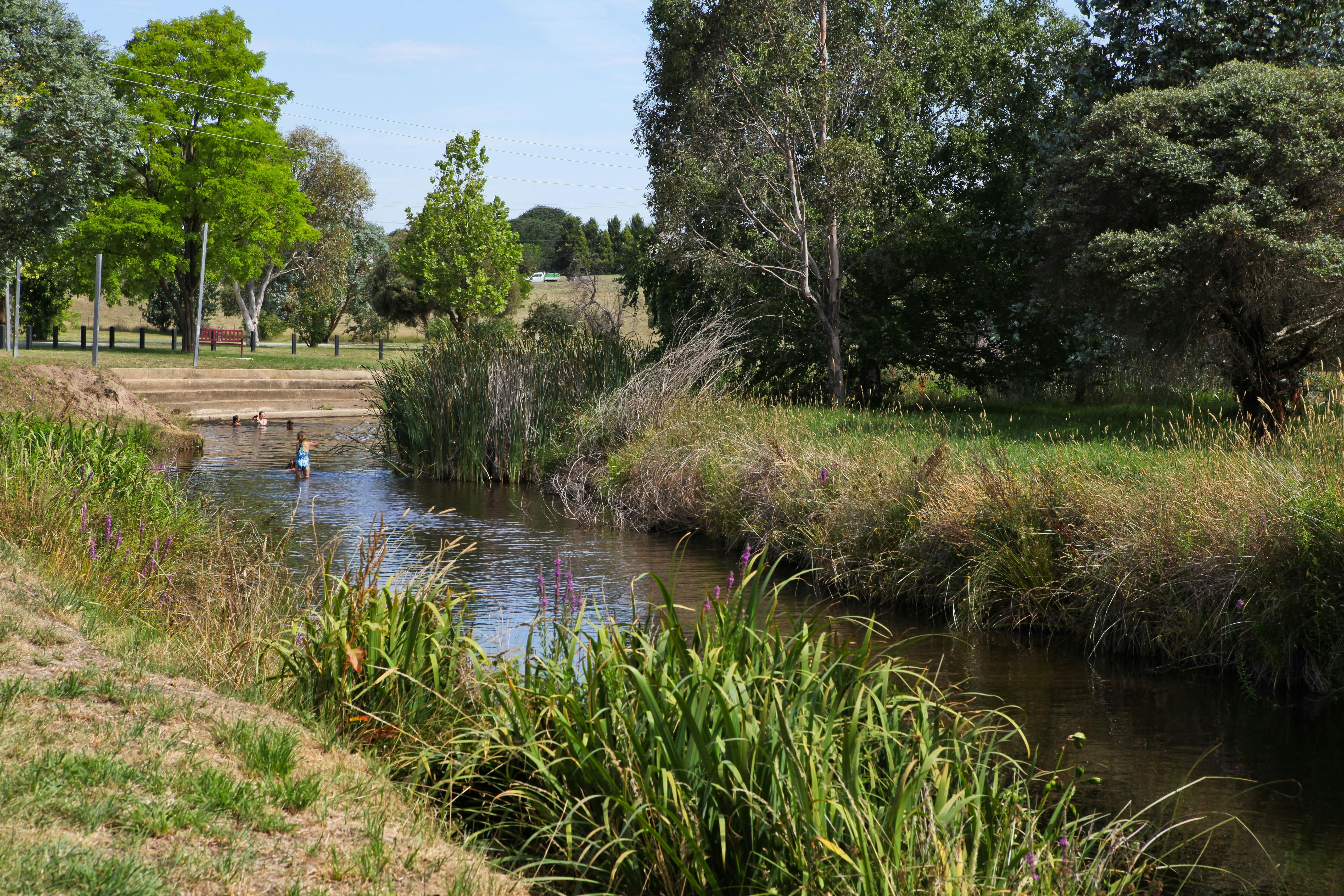 델리게이트 리버