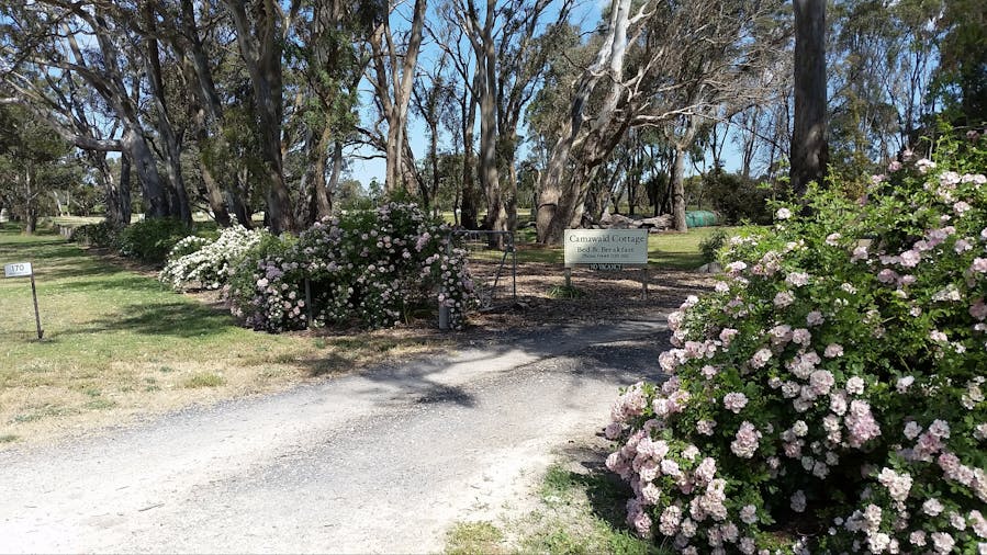Camawald Coonawarra Cottage BB