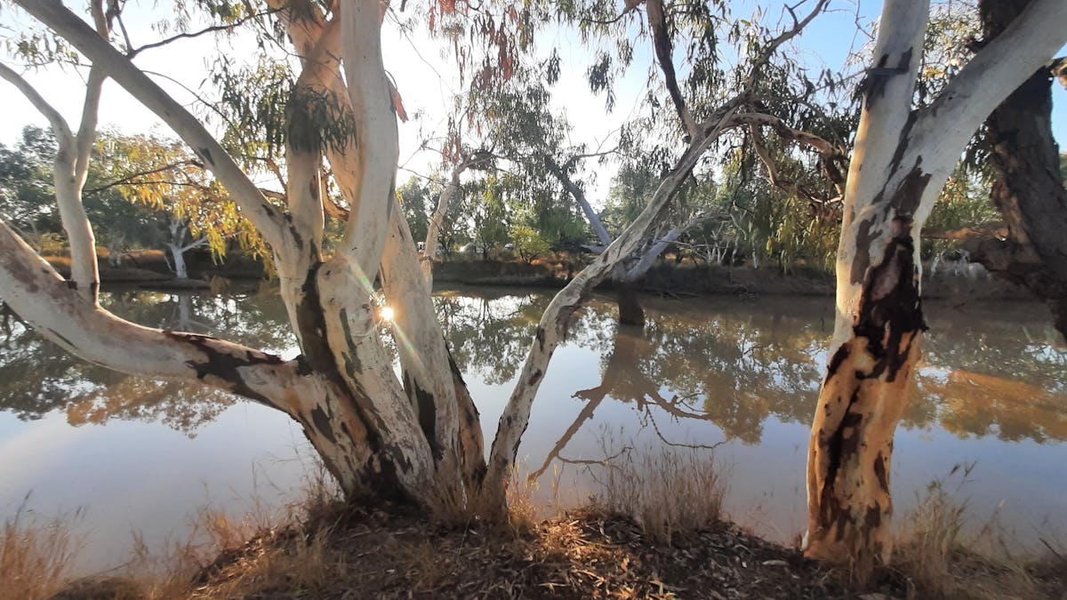 Paroo River Eulo
