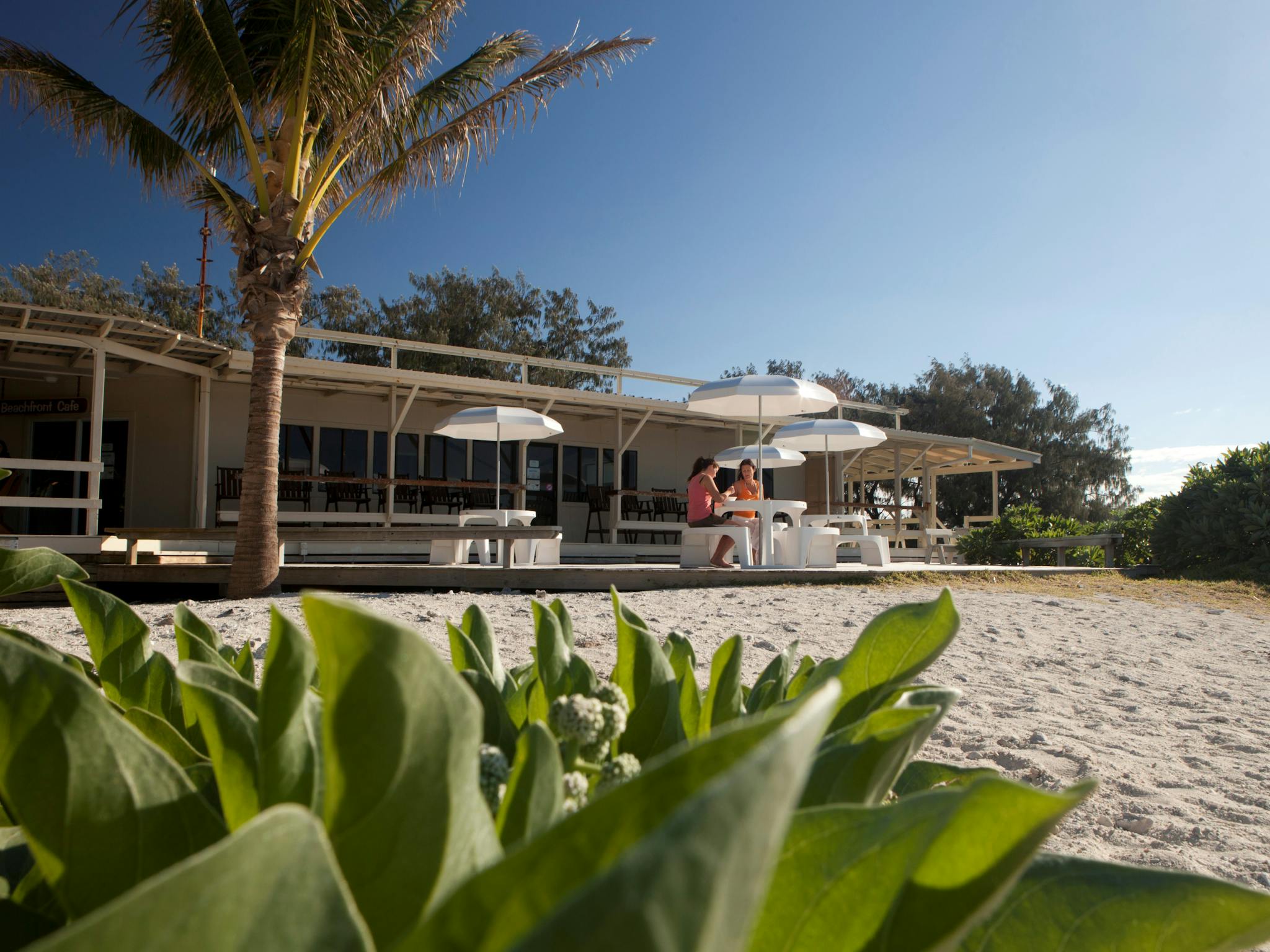 Beachfront dining, Lady Elliot Island