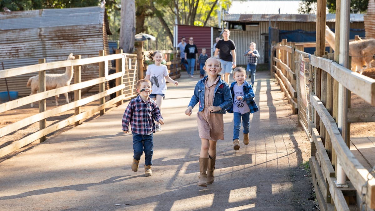"Children running happily along a farm pathway at White Ridge Farm, surrounded by fences and animals