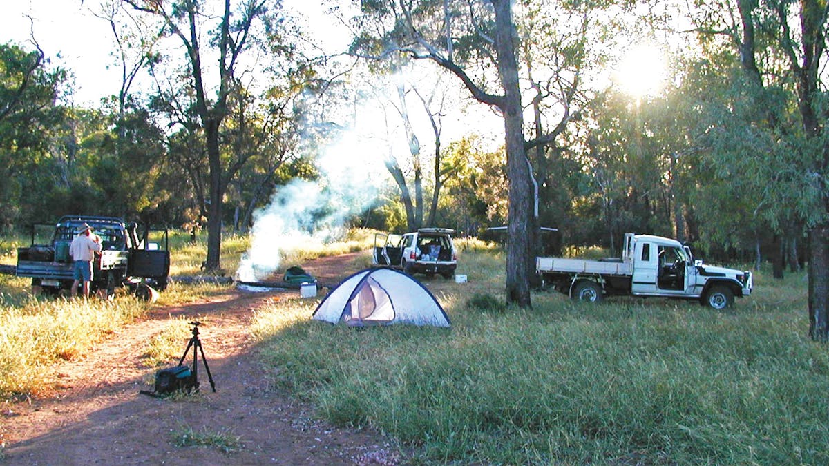 Tents and vehicles around a fire in open woodland.