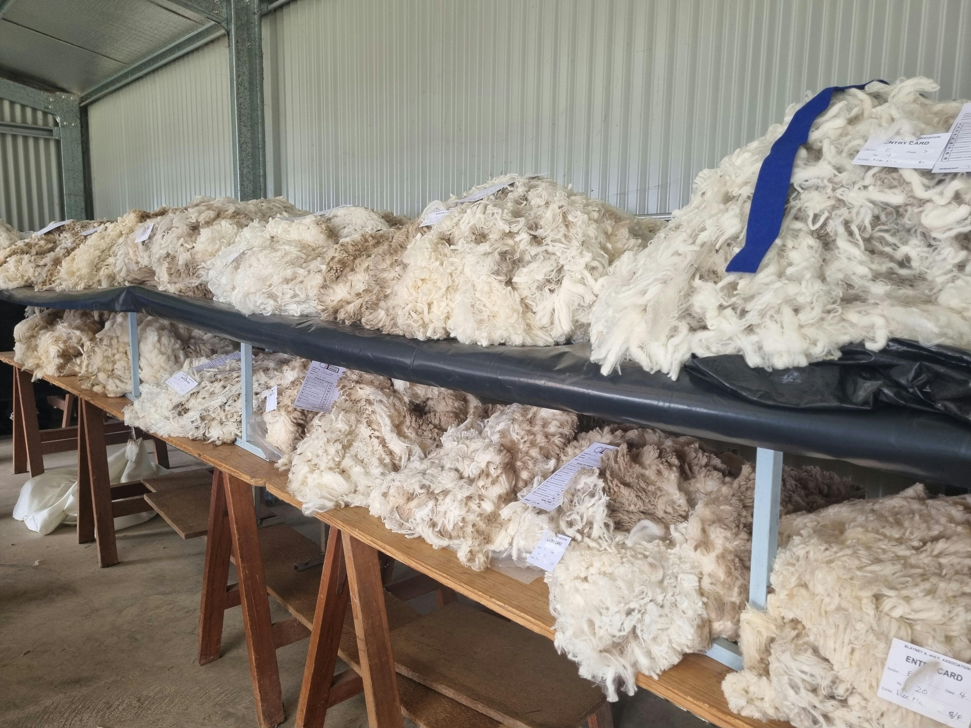 Blayney SHow