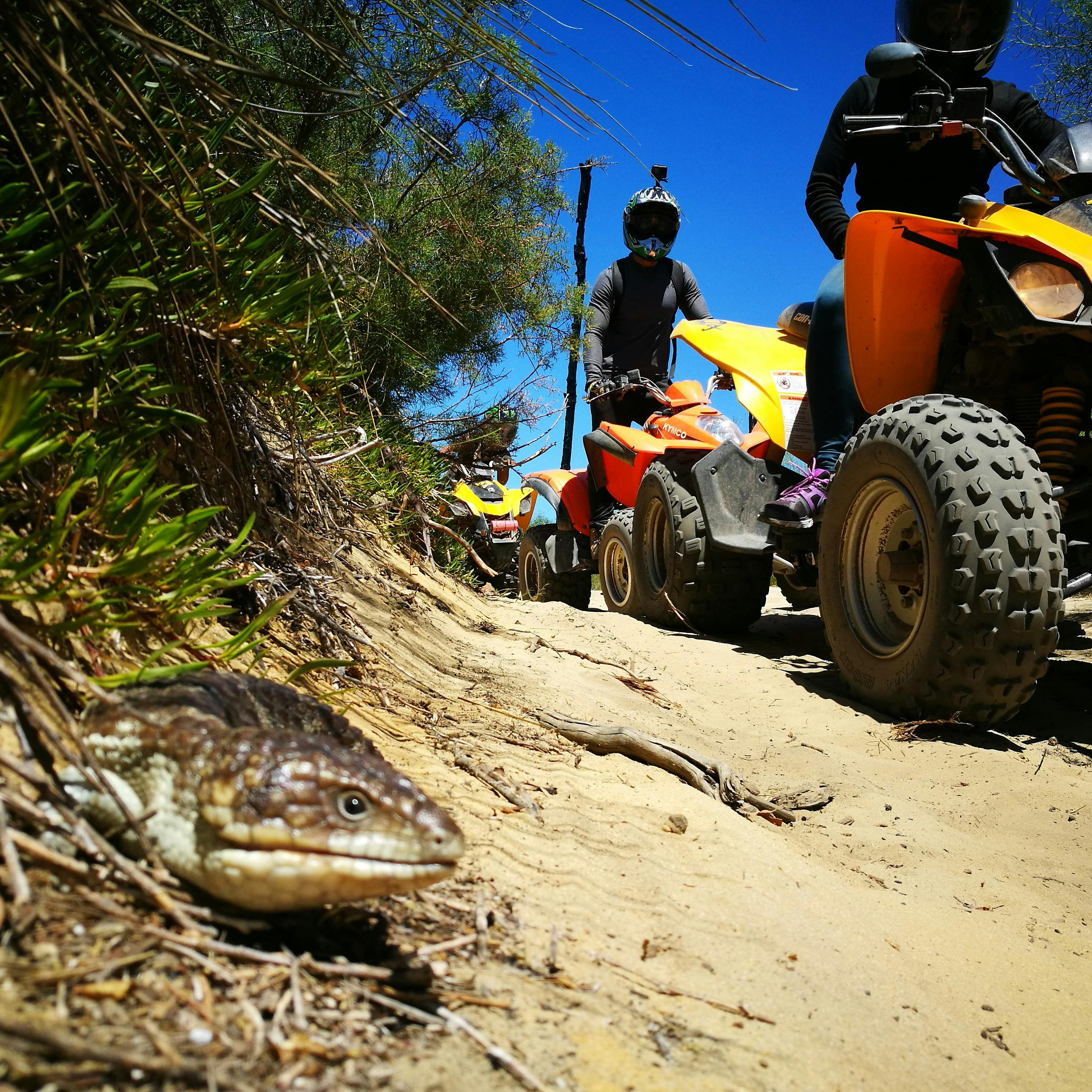 Perth Quad, Nowergup, Western Australia