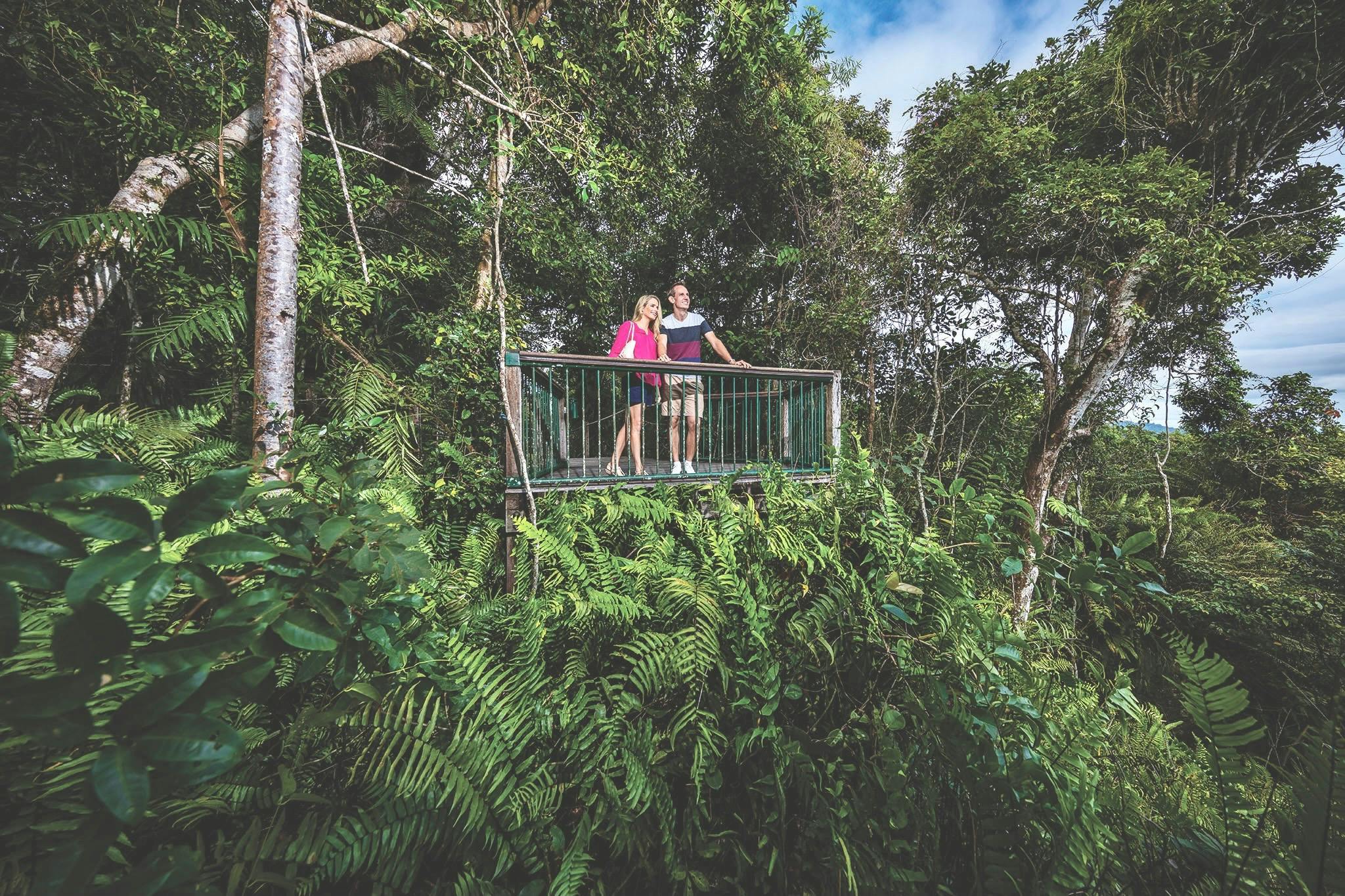 Barron Falls Lookout