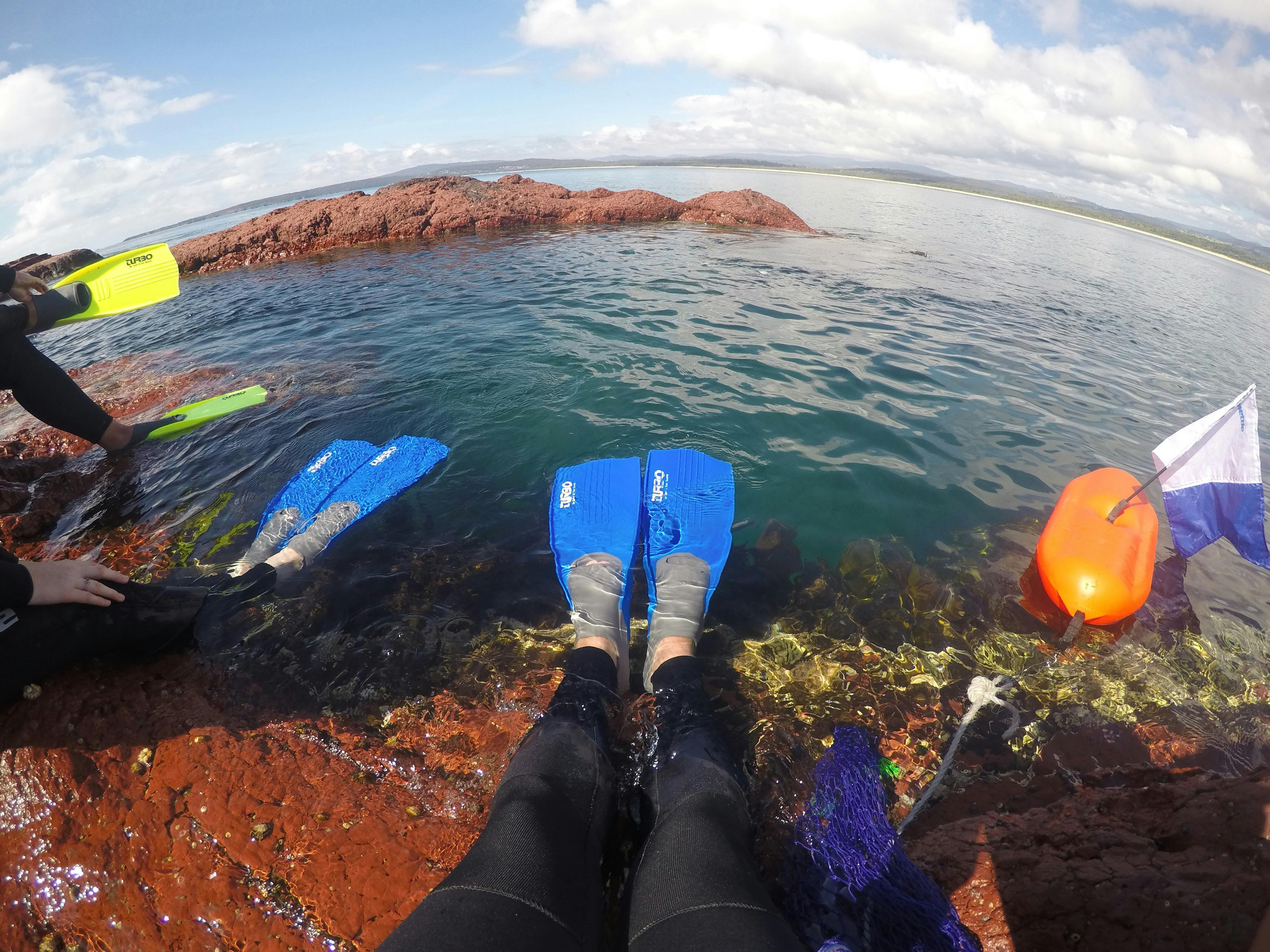 Divers preparing to enter the water near Merimbula Wharf