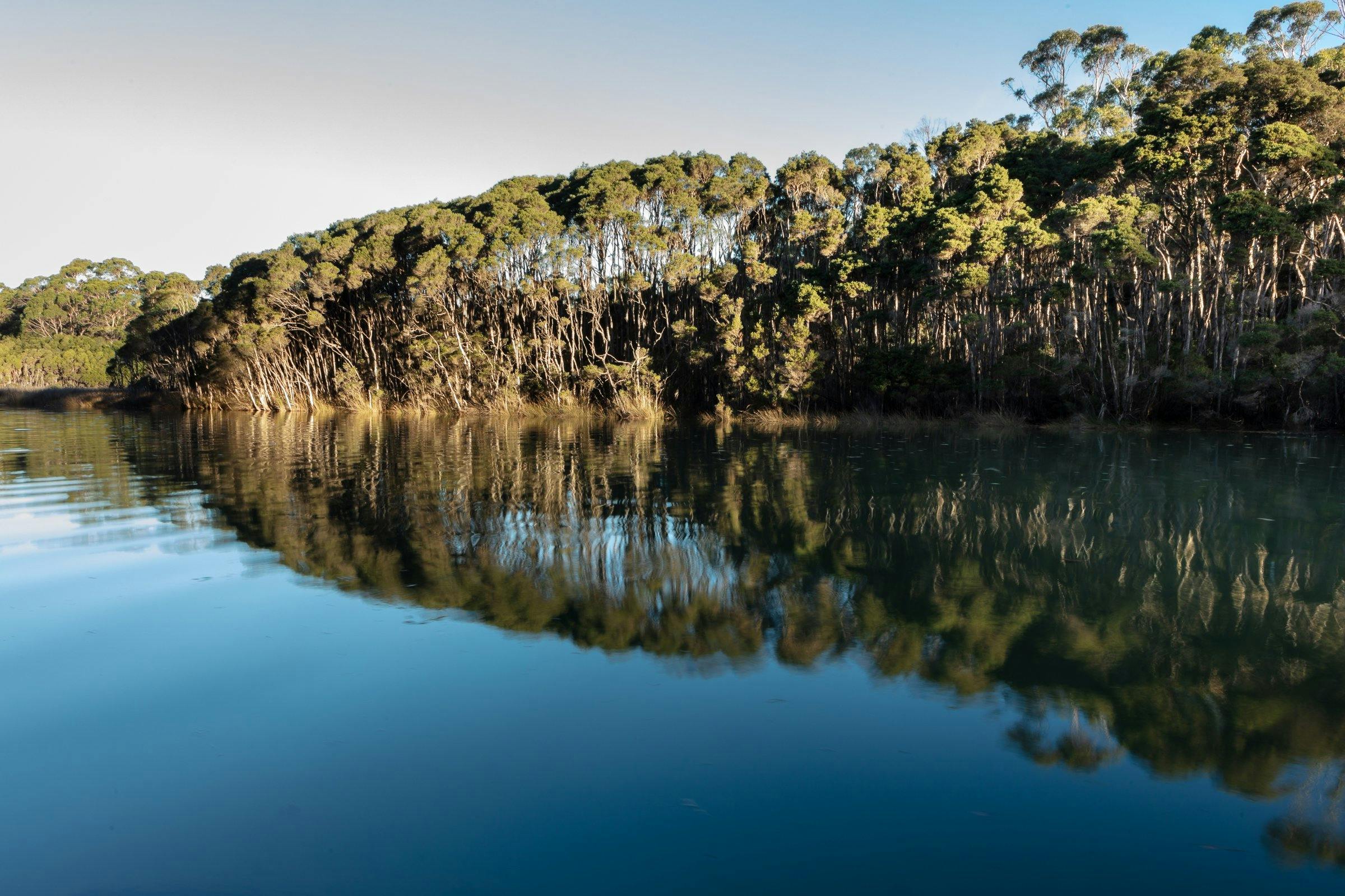 Dell Luck Reserve, Don