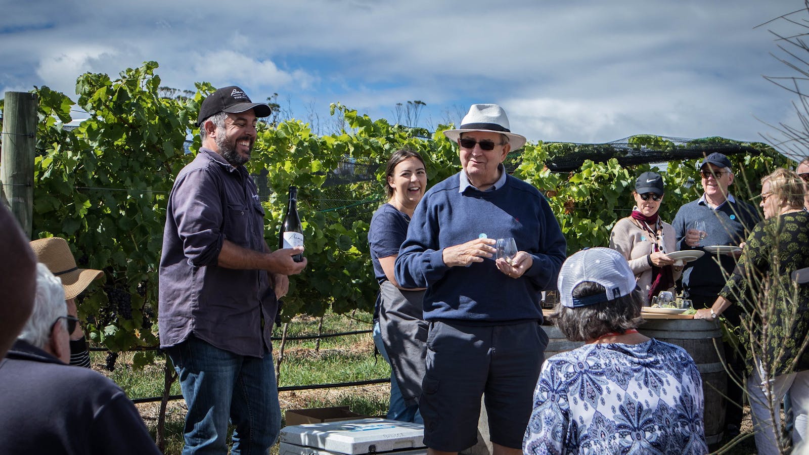 Wine in the Vines - Bangor Vineyard Tour