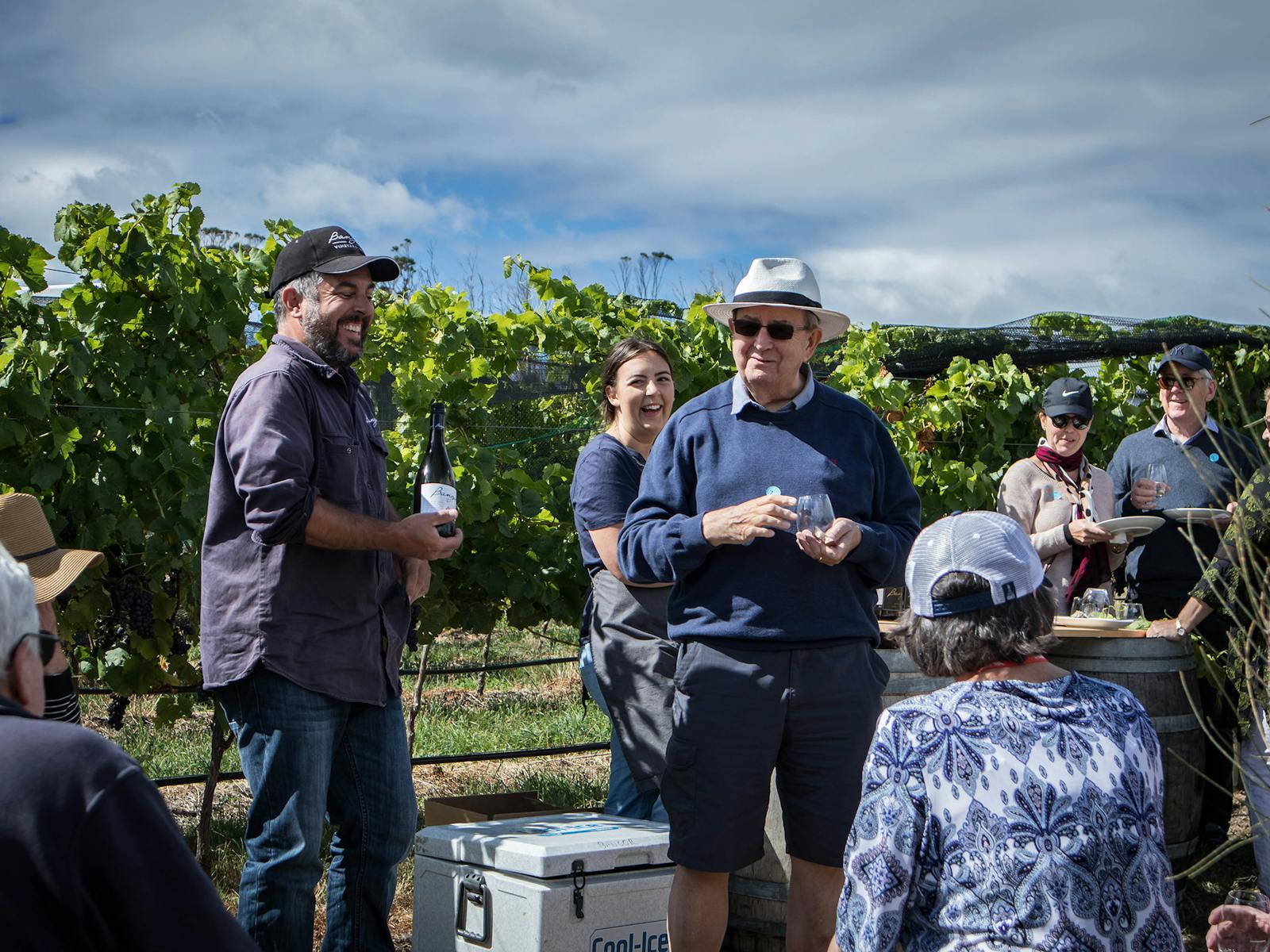 Wine in the Vines - Bangor Vineyard Tour