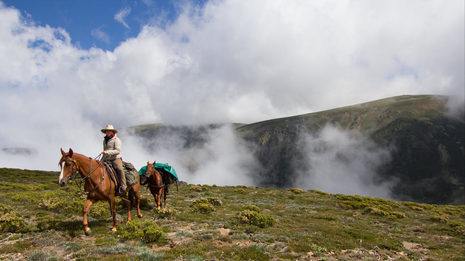 Bogong Horseback Adventures