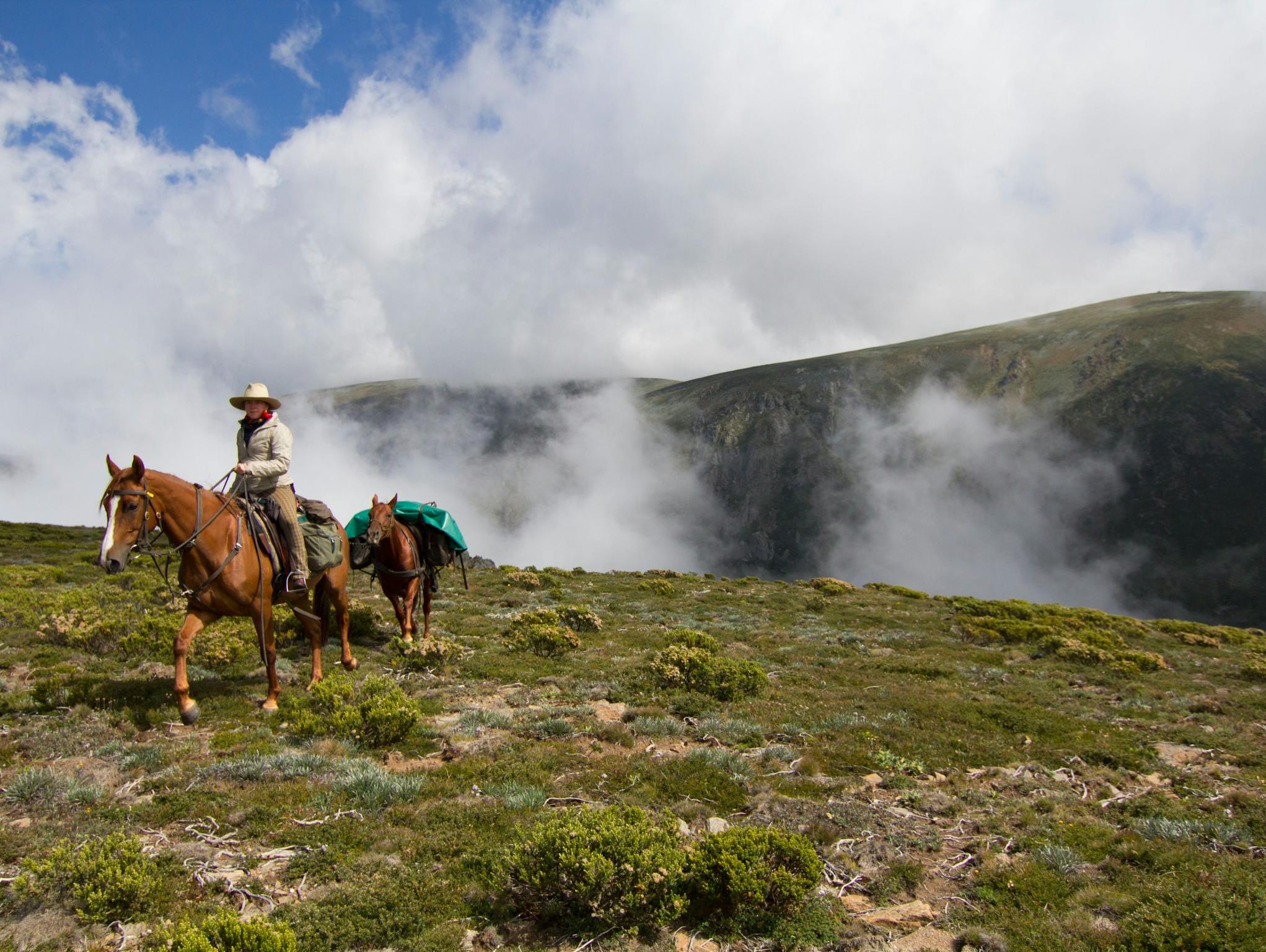 Mount Bogong