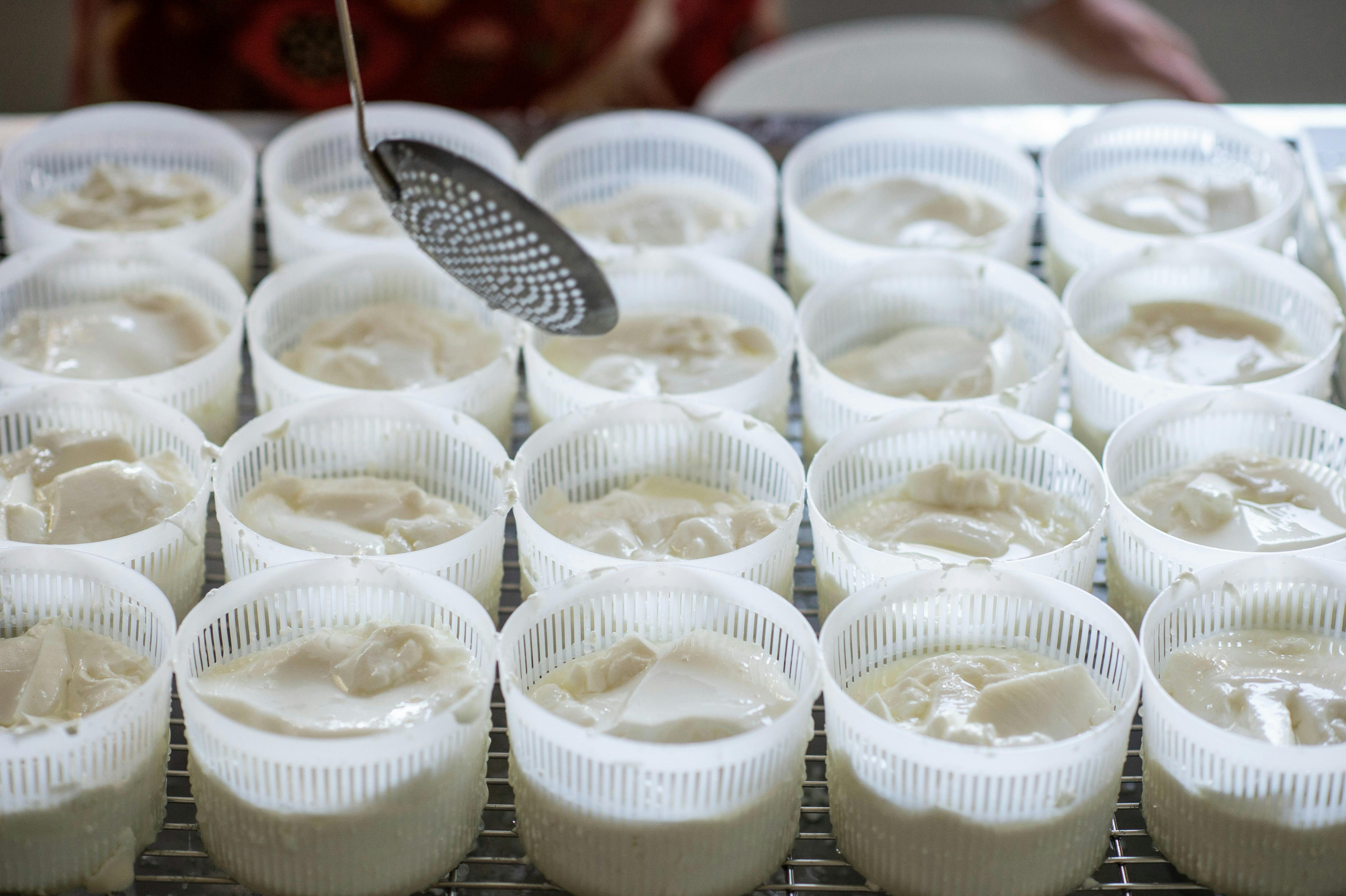 make your own cheese