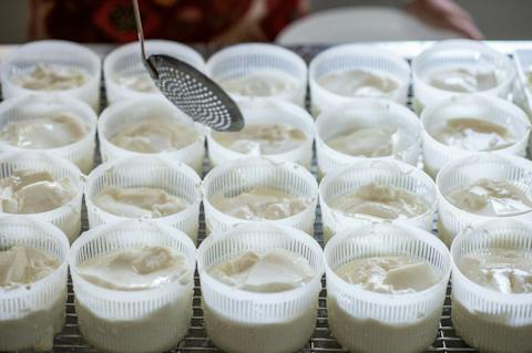 make your own cheese