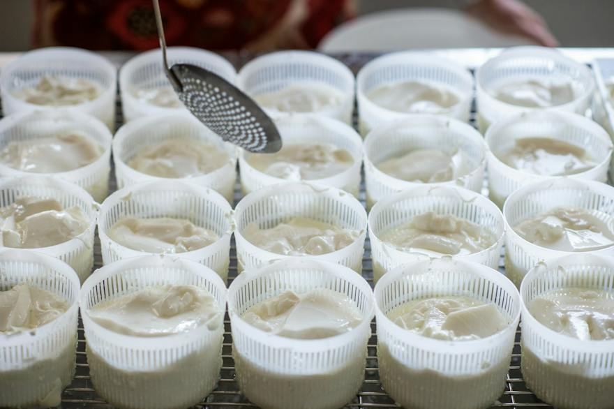 make your own cheese