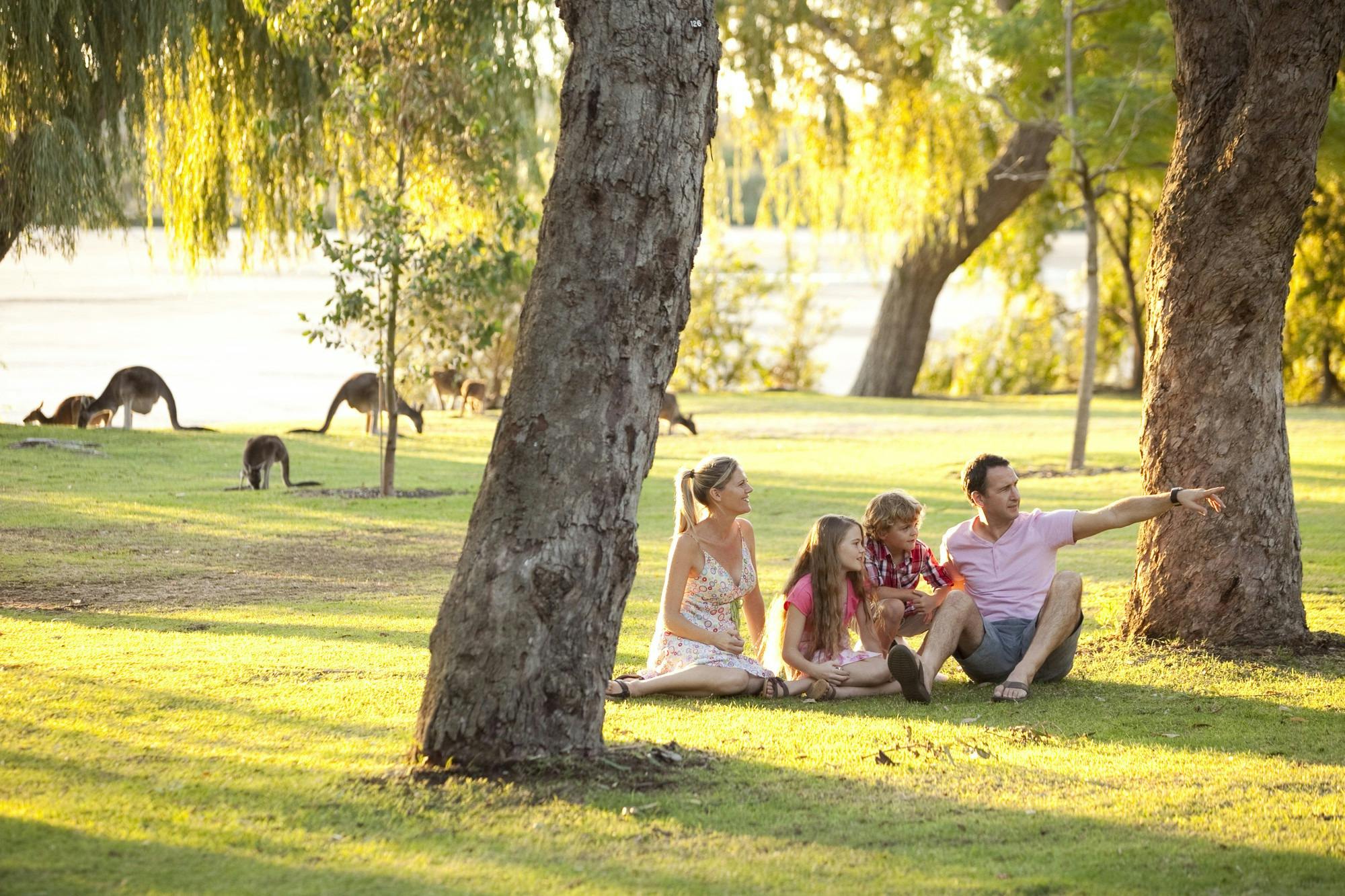 Spring into Parks