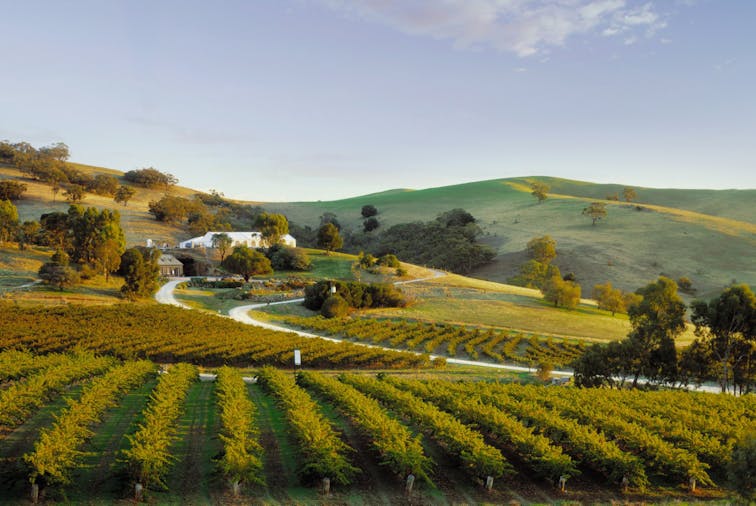 Barossa Valley an authentic journey
