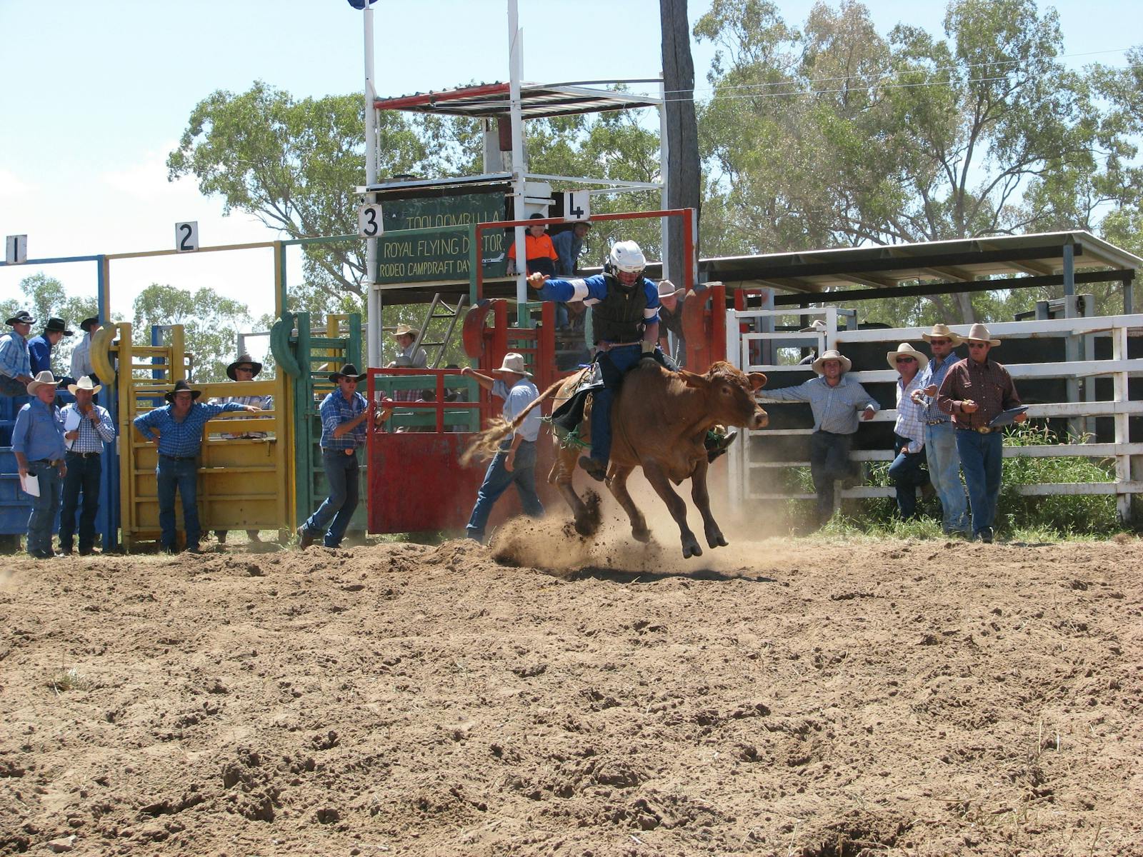 Image for Tooloombilla Rodeo and Campdraft