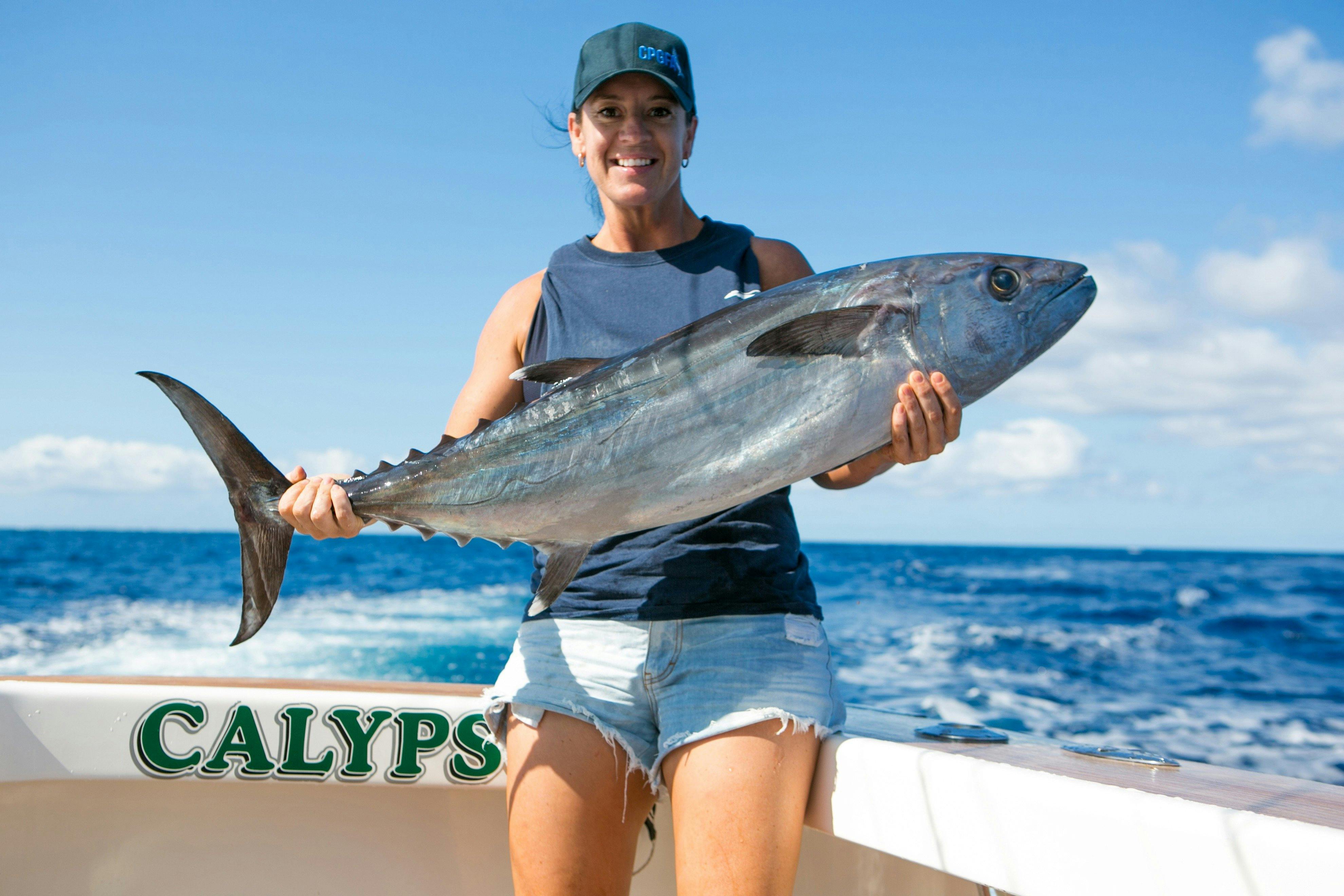 私たちはすべてのレベルと能力に対応します