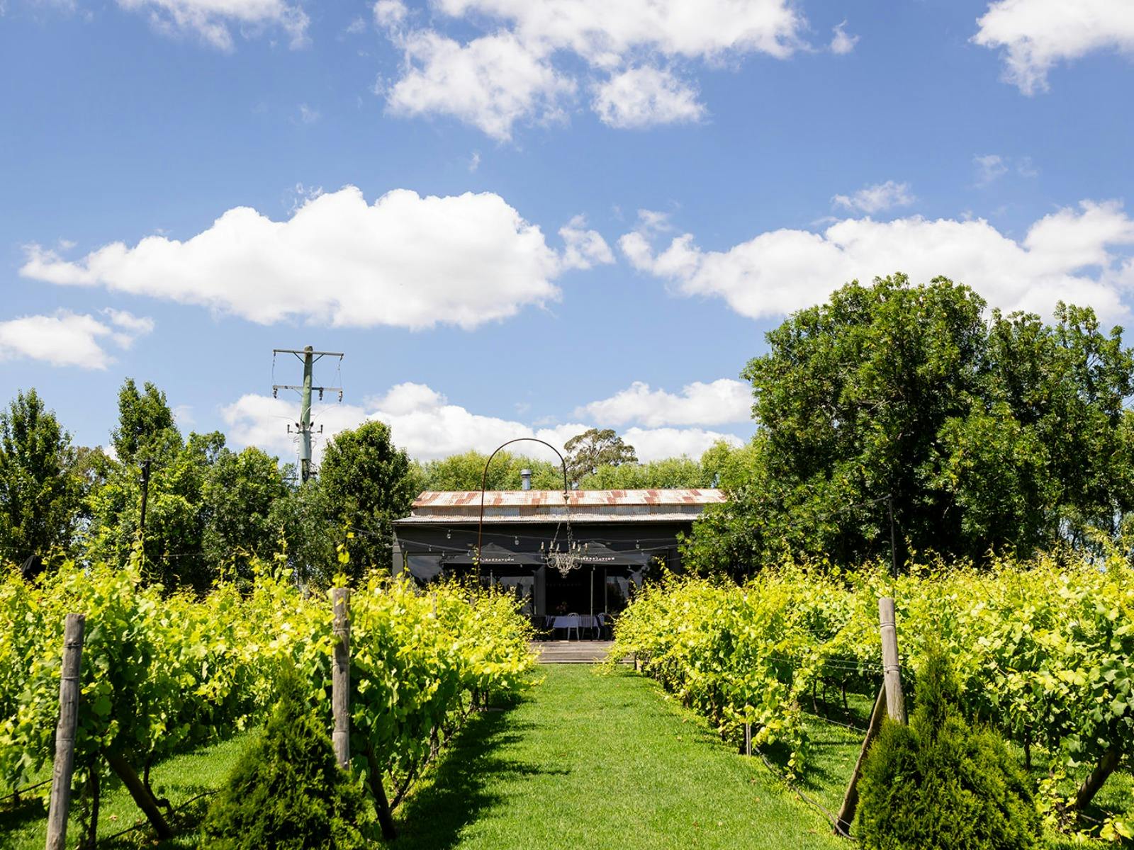 Dinner by Lucetta at Heifer Station