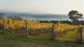 Rusty Fig Wines