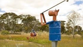 Tin Horse Highway