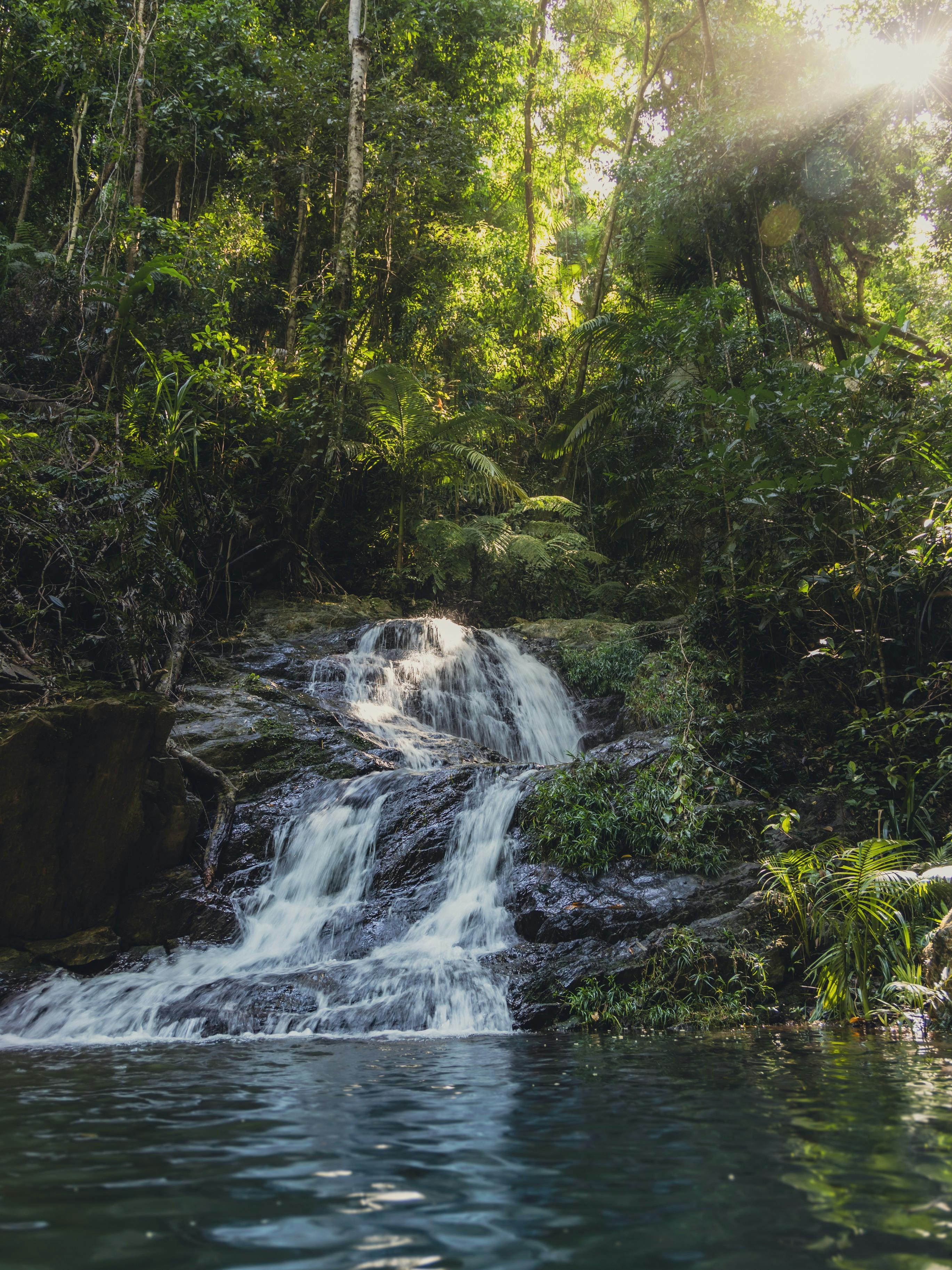 Swim underneath a waterfall with Daintree Discovery Tours