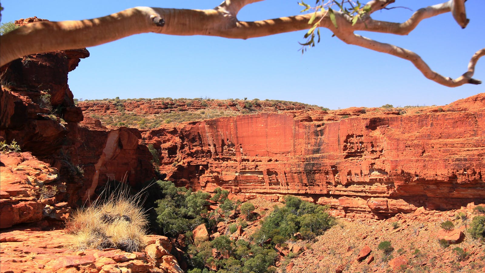 Spirit Safaris from Northern Territory